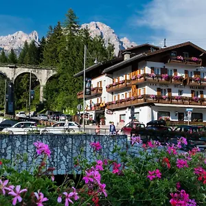 Hotel Meuble Neve